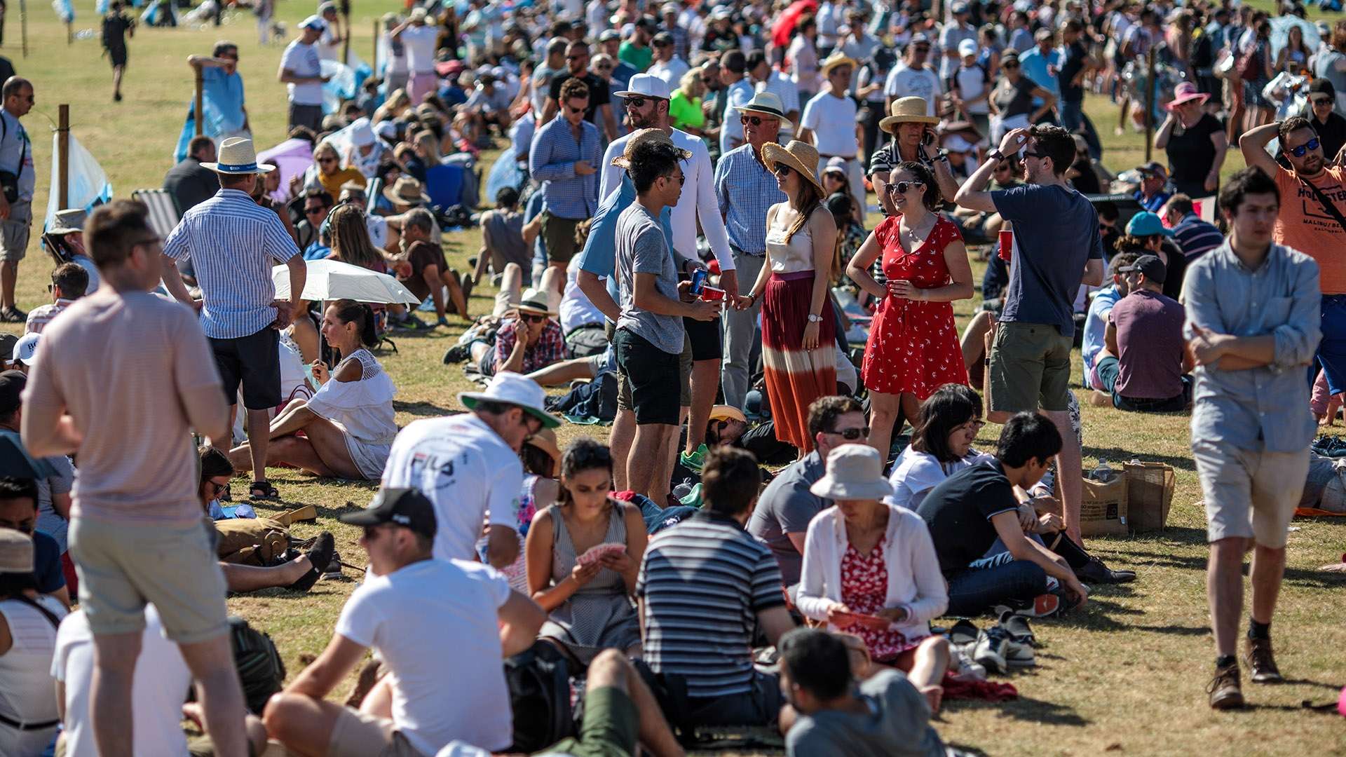 中衛坦甘加 中衛坦甘加