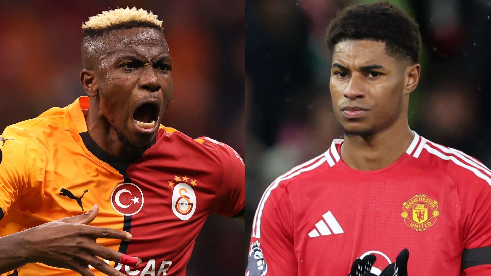 尽管拥有唐 尽管拥有唐